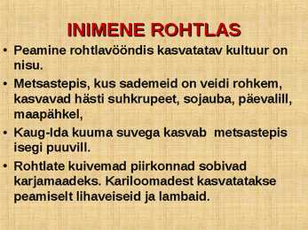 ROHTLAD #16