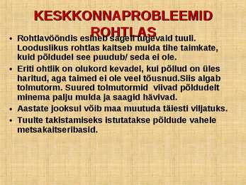 ROHTLAD #19