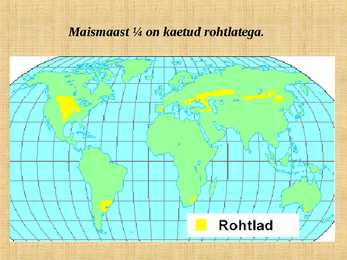 ROHTLAD #3