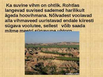 ROHTLAD #22