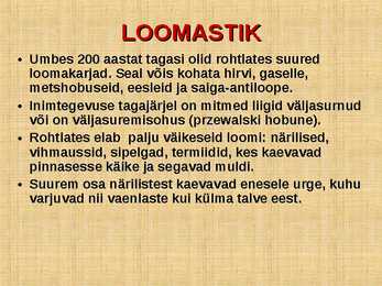 ROHTLAD #10