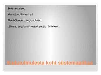 Kodutolmulest #2
