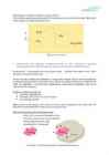 Biokeemia I test #24