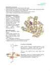 Biokeemia I test #40