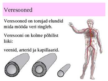Vereringeelundkond #12