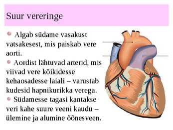 Vereringeelundkond #20