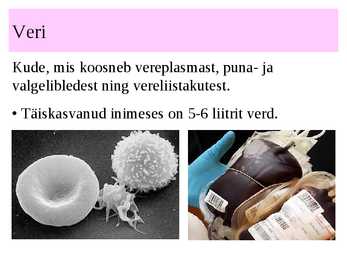 Vereringeelundkond #23