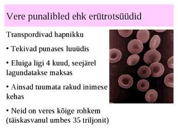 Vereringeelundkond #24