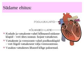 Vereringeelundkond #5