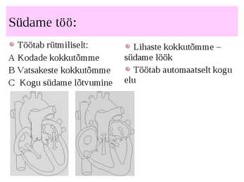 Vereringeelundkond #6