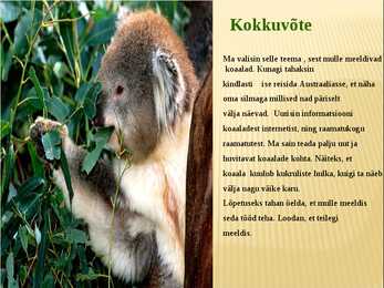 Referaat koaaladest #10