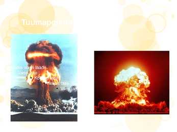 TUUMAPOMMI EHITUS #15
