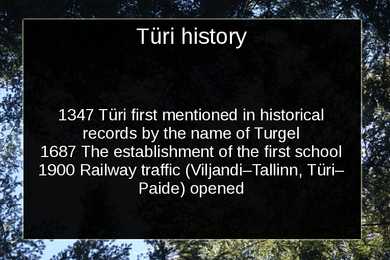 Türi #2