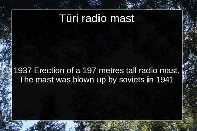 Türi #7