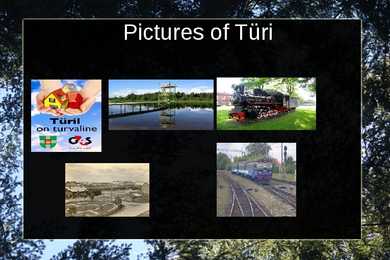 Türi #10