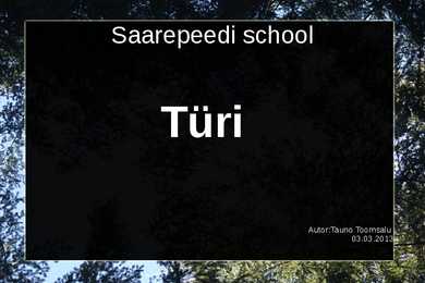 Türi