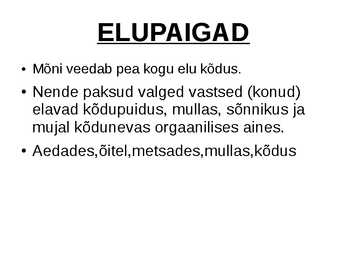 Põrnikad #5