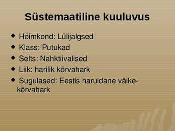 Kõrvahark #2