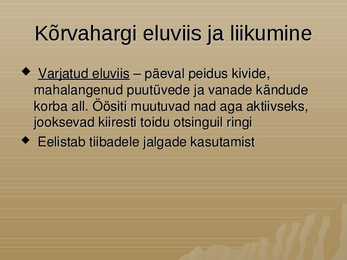 Kõrvahark #7