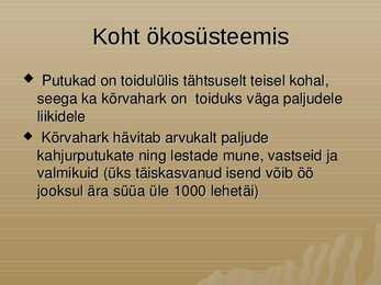 Kõrvahark #8