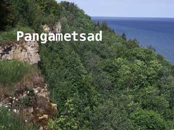 Pangametsad