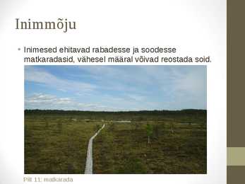 Siirdesoo #14