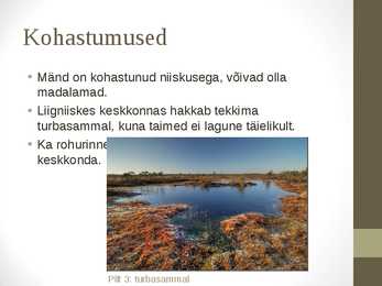 Siirdesoo #5