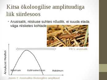 Siirdesoo #7