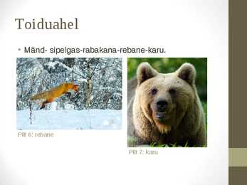 Siirdesoo #9