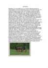METSSIGA