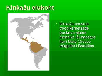 Kinkažu #3
