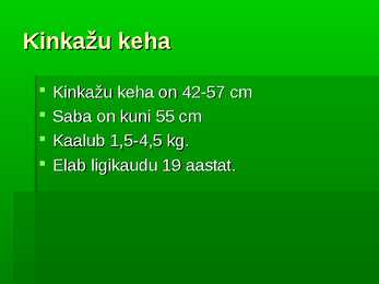 Kinkažu #5