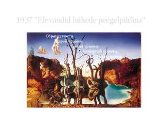 Salvador Dalí #13