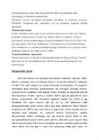 Tsement #3