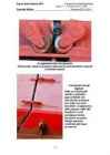 Laeva Luugiseade #14
