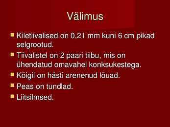 Kiletiivalised #3