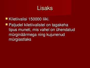 Kiletiivalised #7