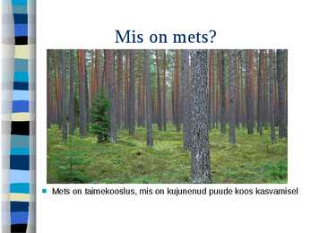 Mets #2