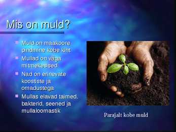 Mulla niiskus-loomad-taimed mullas #2