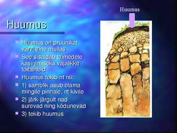 Mulla niiskus-loomad-taimed mullas #4