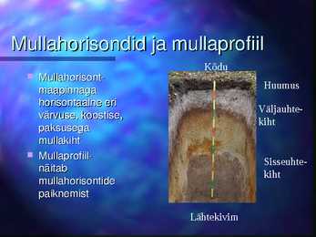 Mulla niiskus-loomad-taimed mullas #6
