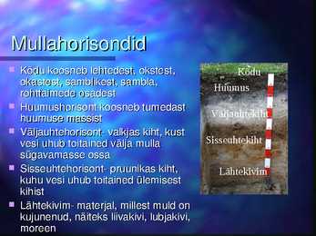 Mulla niiskus-loomad-taimed mullas #7