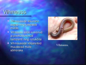 Mulla niiskus-loomad-taimed mullas #9