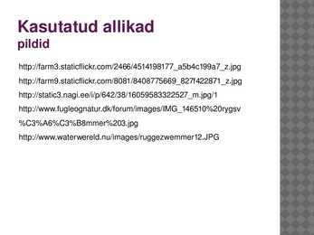 Selgsõudur #11