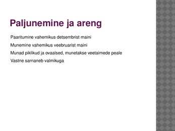 Selgsõudur #8