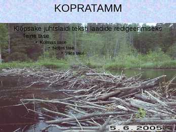 Esitlus Koprast #2