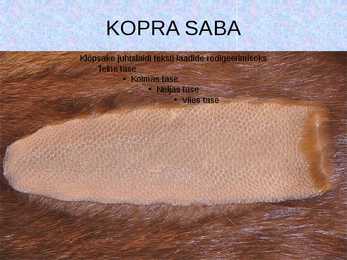 Esitlus Koprast #4