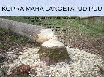 Esitlus Koprast #5