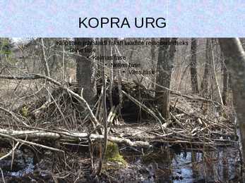 Esitlus Koprast #6