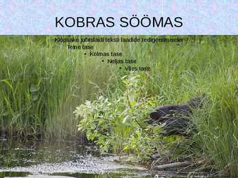 Esitlus Koprast #7